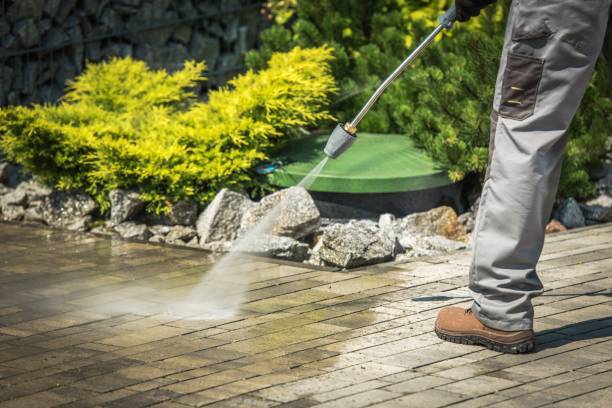 Best Roof Cleaning and Mildew Removal in Virden, IL