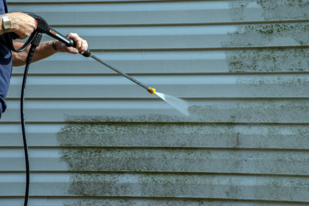 Best Fence Cleaning and Maintenance in Virden, IL